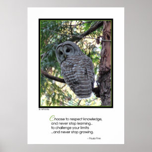 Póster Elija respetar el conocimiento...poster motivacion
