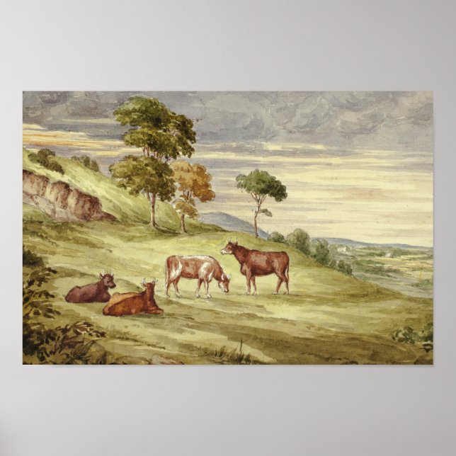 Póster Elizabeth Murray - Deer Park, posiblemente Kilkenn (Frente)