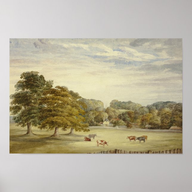 Póster Elizabeth Murray - Seis vacas brillando antes que  (Frente)