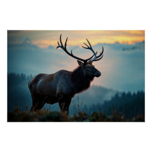 Póster Elk en una carrera por el amanecer
