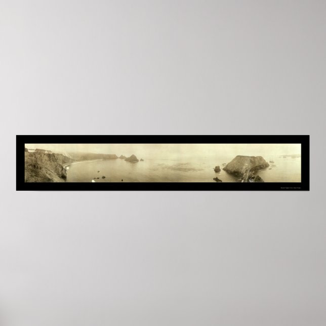 Póster Elk Mendocino CA Photo 1911 (Frente)