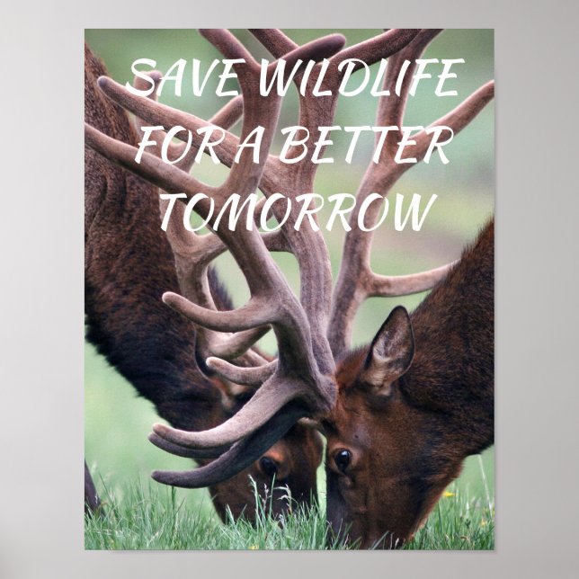 Póster Elk, salven la vida silvestre para un mejor futuro (Frente)