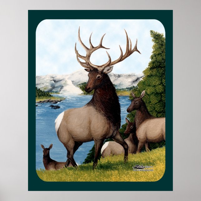 Póster Elk Wapiti (Frente)