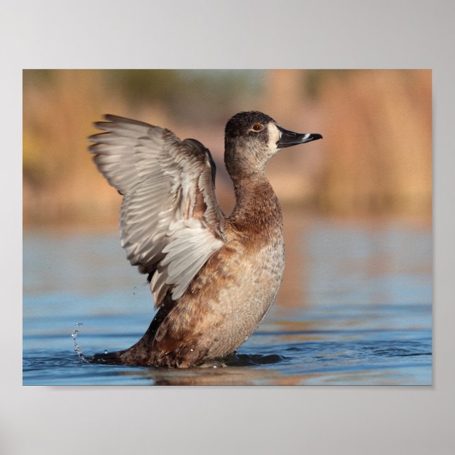 Póster Ella es un Flapper (Frente)