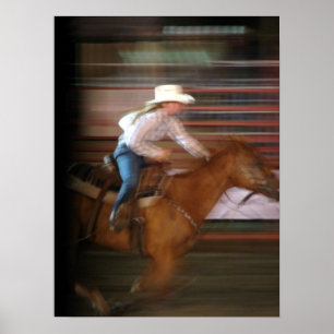 Póster Ella está volando