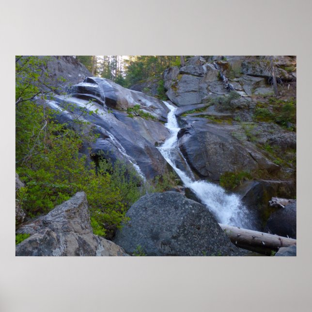 Póster Ella Falls en el Parque Nacional Sequoia (Frente)