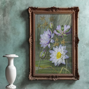 Póster Ellis Rowan Blue Water Lily Vintage Flowers