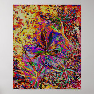 Póster Elly