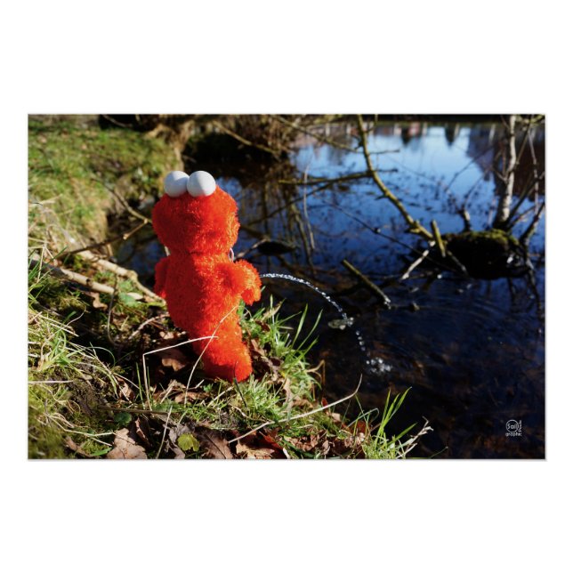 Póster Elmo Plassend aan de waterrand. (Anverso)