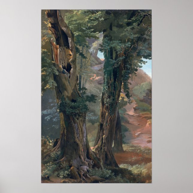 Póster Elms antiguos, c.1835 (Frente)