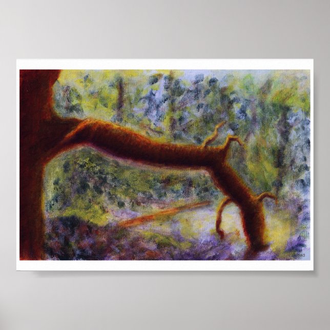 Póster Elora Gorge, Poster (Frente)