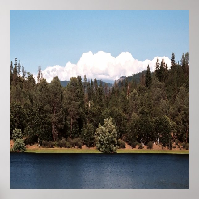 Póster Embalse de ala en primavera......... (Frente)