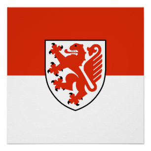 Póster emblema de la ciudad de Braunschweig bandera de Al