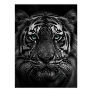 Póster Emerald-Eyed Tiger Portrait - Black and White