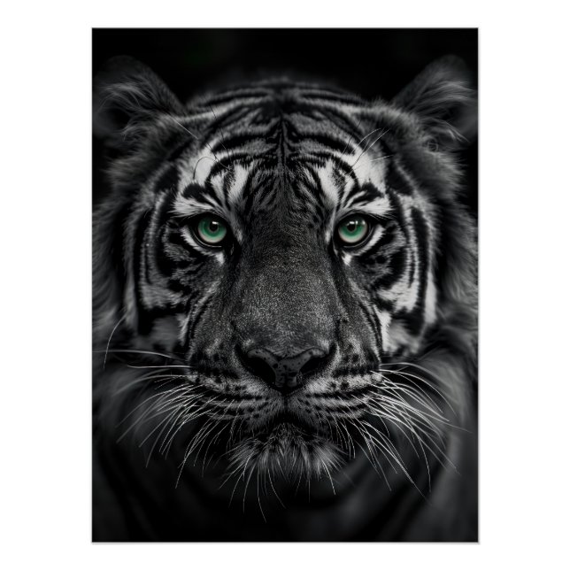 Póster Emerald-Eyed Tiger Portrait - Black and White (Anverso)
