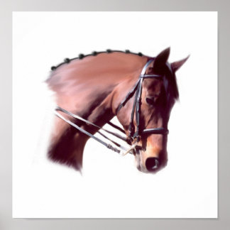 Póster Emerald-Glen Houdini