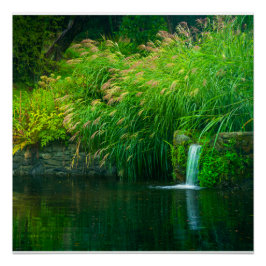 Póster Emerald Stillness by the Garden Falls