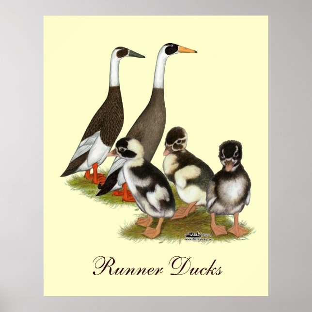 Póster Emery Penciled Runner Duck (Frente)