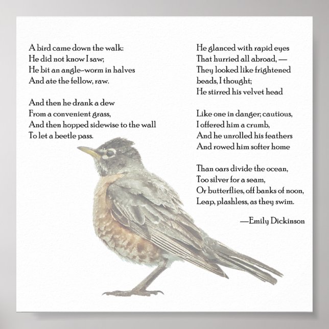 Póster Emily Dickinson, Poster de poema "In the Garden" (Frente)