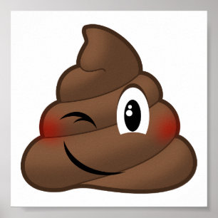 Póster Emoji de Caca de Invierno