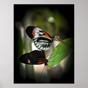 Póster Emparejamiento de teclas de piano