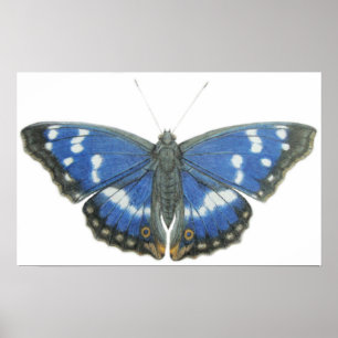 Póster Emperador púrpura 2012