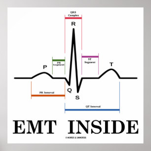 Póster EMT interior (electrocardiograma de ritmo sinusal)