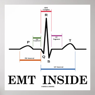 Póster EMT interior (electrocardiograma de ritmo sinusal)