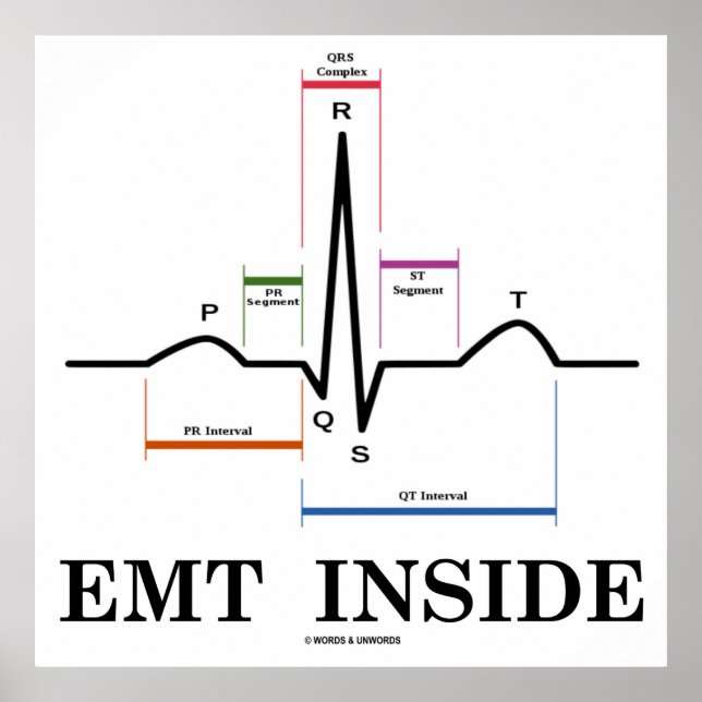 Póster EMT interior (electrocardiograma de ritmo sinusal) (Frente)