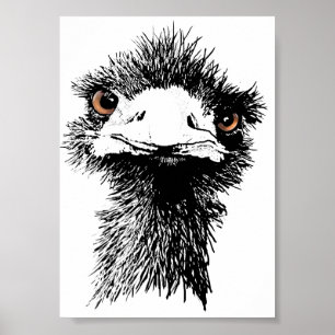 Póster Emu