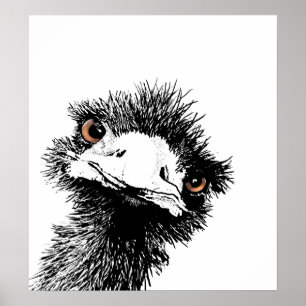 Póster Emu - pluma y tinta