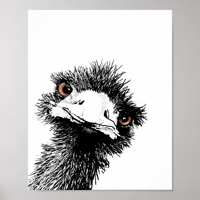 Póster Emú – Pluma y Tinta (Frente)