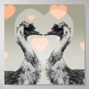 Póster Emus en amor