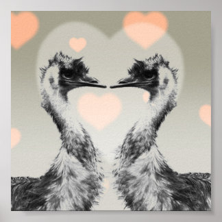Póster Emus en el amor