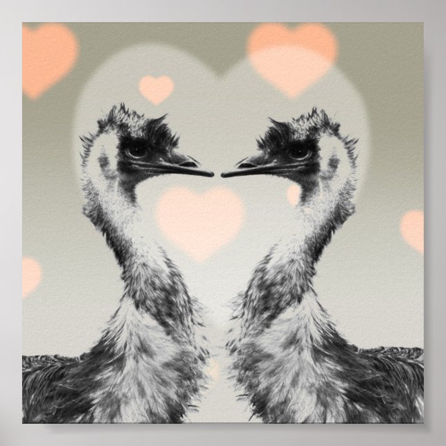 Póster Emus en el amor (Frente)