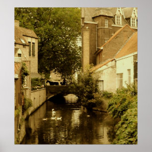 Póster En Brujas III