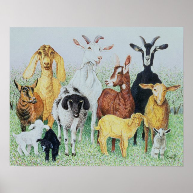 Póster En Clover (Frente)