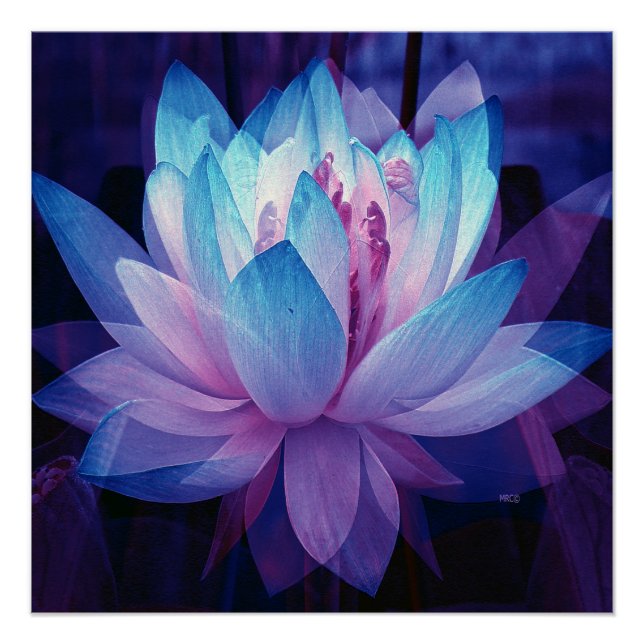 Póster En el amor perfecto... (Anverso)