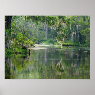 Póster En el Bayou