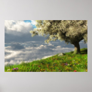 Póster En el borde del mundo (primavera)
