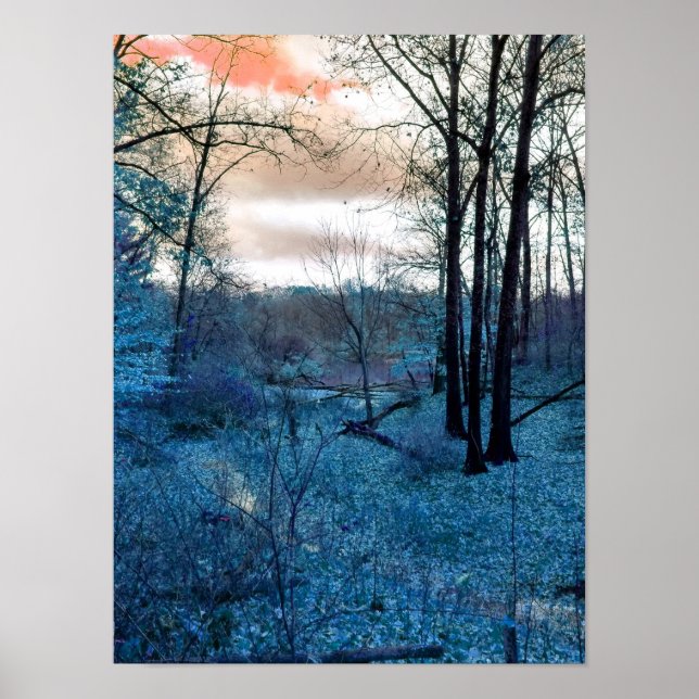 Póster En El Bosque (Frente)
