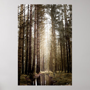 PÓSTER EN EL BOSQUE