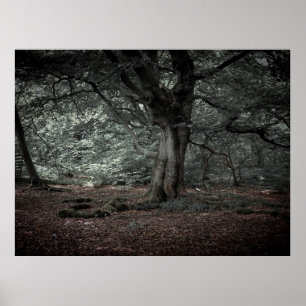 Póster En el bosque de cuento de hadas