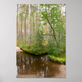 Póster En el bosque después de la lluvia