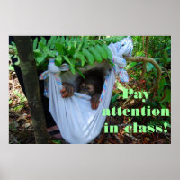 En el bosque para la escuela de Orangutan