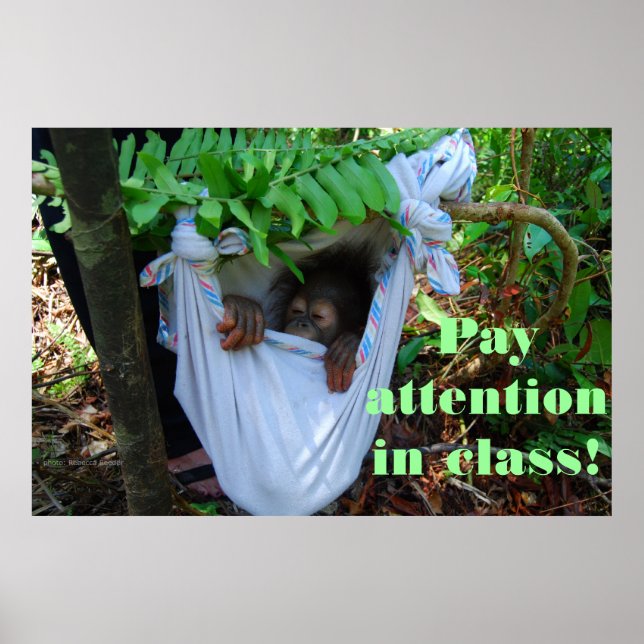 Póster En el bosque para la escuela de Orangutan (Frente)