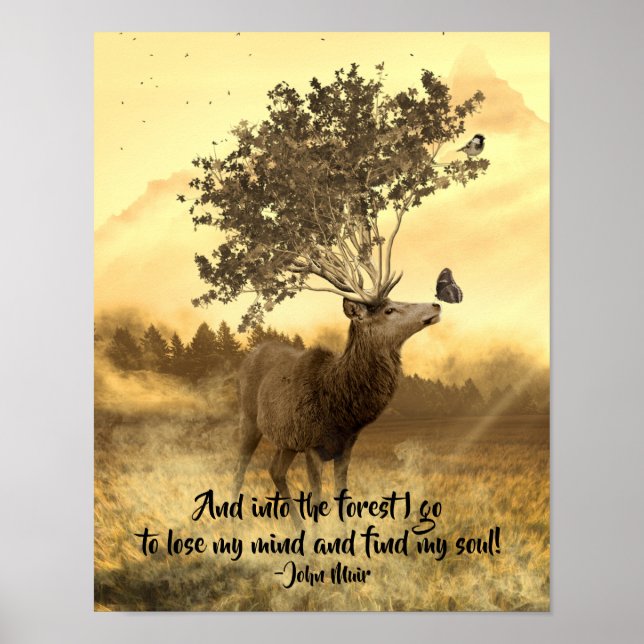 Póster En el bosque que voy, cita natural de John Muir (Frente)