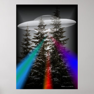 PÓSTER EN EL BOSQUE - UFO