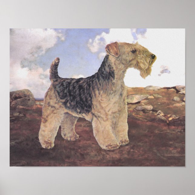 Póster En el campo (Frente)