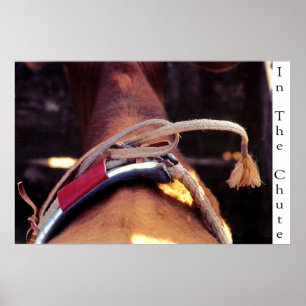 Póster En el canal inclinado